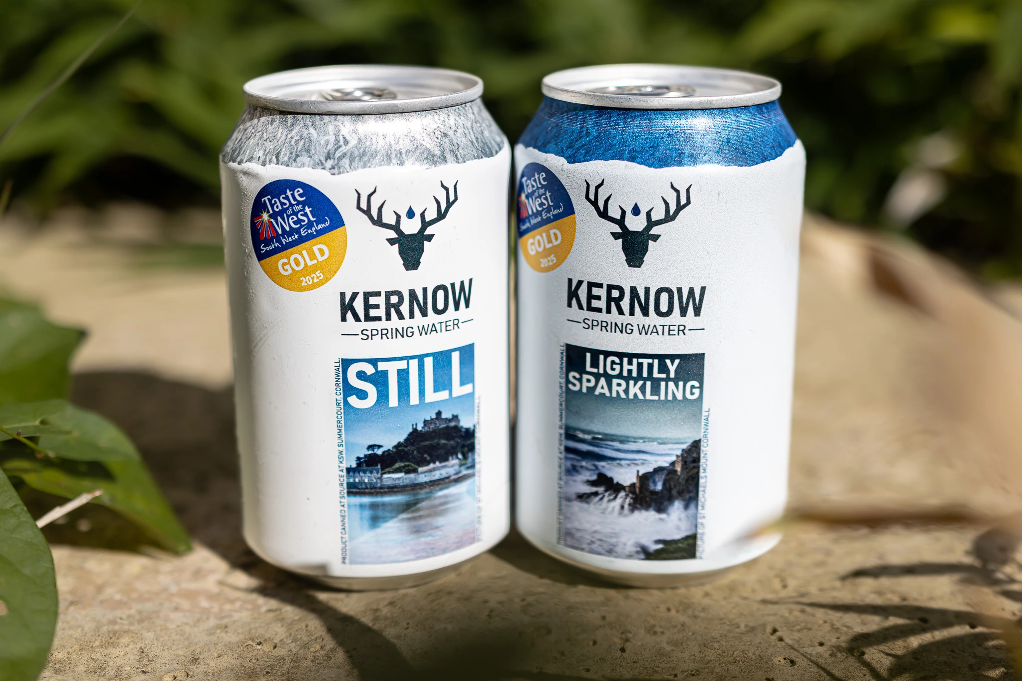 The Renewable Energy Canning Revolution